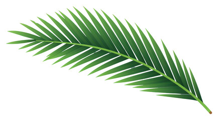 Fototapeta premium PNG Plant leaf tree freshness.