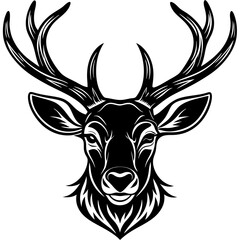 deer head vector,deer, illustration, ,animal, vector, reindeer