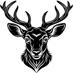 deer head vector,deer, animal, vector, reindeer, mammal, cartoon, illustration