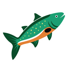 trout fish on white background