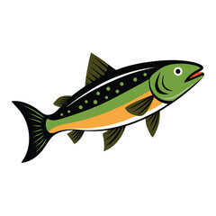 trout fish on white background