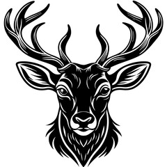 deer head vector,deer, animal, vector, reindeer, mammal, cartoon, illustration