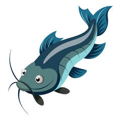 catfish on white background
