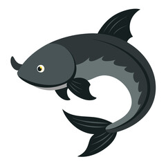 catfish on white background