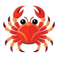 red crab isolated on white