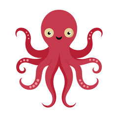 octopus illustration
