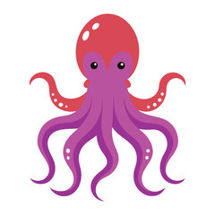 octopus illustration