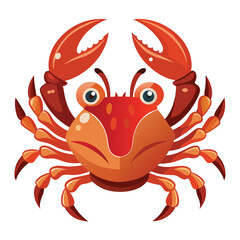 crab on white background