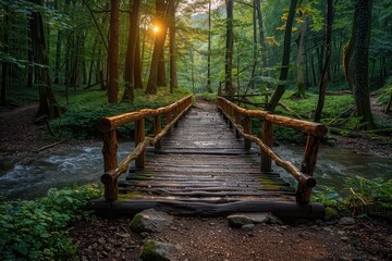 A scenic hiking trail through a dense forest, with sunlight filtering through the trees and a wooden bridge over a bubbling stream. 