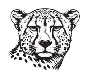 Cartoon cheetah head © BigJoy