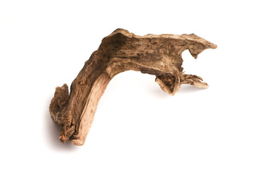 Dried wooden tree branch snag isolated on the white background.