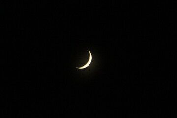 三日月　Crescent