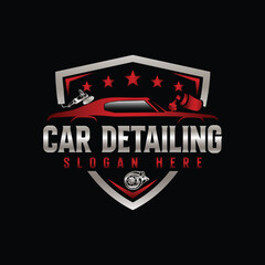 auto shine wash and detailing service logo