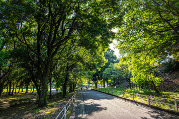 Naklejka premium 横浜の街ー公園02