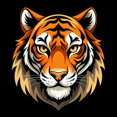 tiger vector and illustration