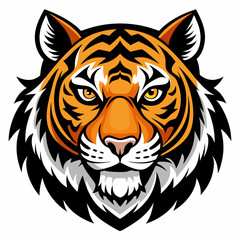 tiger vector and illustration