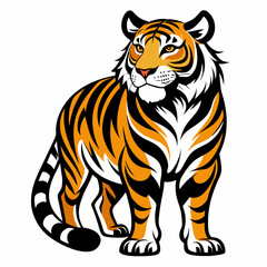 tiger vector and illustration