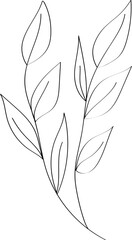 Botanical linear leaf isolated on transparent background. Vector hand drawn leaves. Floral branches. Design for logo, wall art, tattoo, branding and packaging. Vector EPS 10