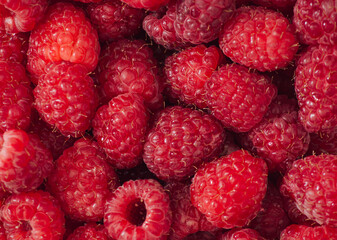 Fresh and ripe raspberries. Minimal creative background and texture concept. Raspberry berries close up pattern composition. Healthy fruit flat lay idea.