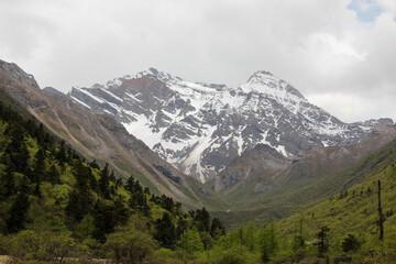 Obraz premium landscape in the mountains