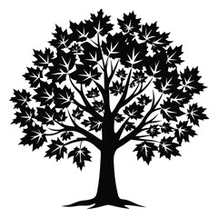 Obraz premium Maple tree ink sketch. Hand drawn vector illustration isolated on white background. Vintage style.