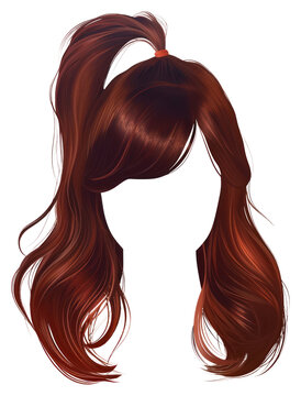 Hairstyle ponytail adult brown.
