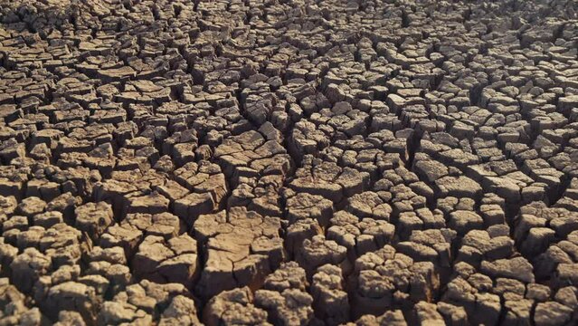 Left to right slider shot of dried mud in the savanna during the evening in kenya