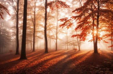 Obraz premium Forest Awakes at Dawn