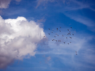 clouds in the sky