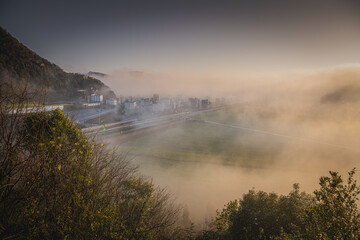 Rapeseed flowers of Luoping in Yunnan China from the top in a dense fog during the sunrise