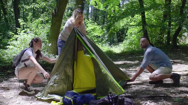 A family sets up a tent together in nature on a sunny summer day. They work as a team, helping each other to prepare their campsite.