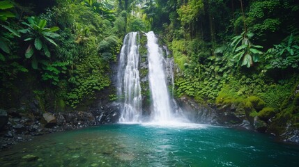 Lush Rainforest Waterfall with Crystal Clear Pool.