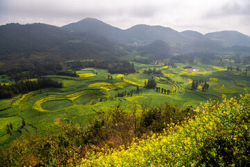 Obraz premium The county of Luoping in eastern Yunnan is noted for its beautiful scenery in spring.