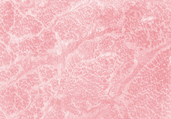 Fototapeta premium Rosa Muster