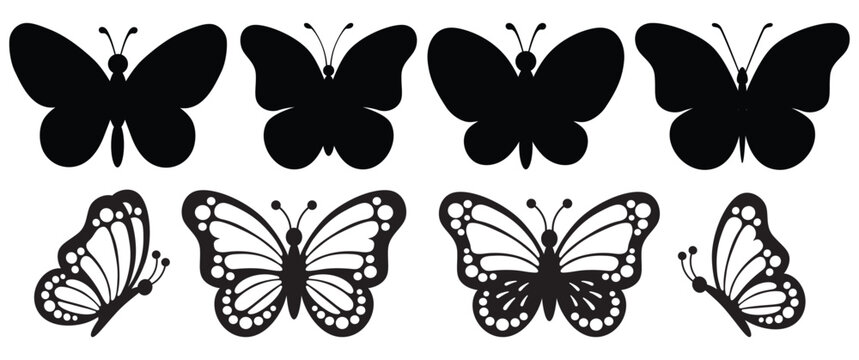Butterfly collection. Black white illustration. Butterflies clipart set. Set of black silhouette butterflies. Baby shower design elements. Party invitation, birthday celebration. Spring, summer decor
