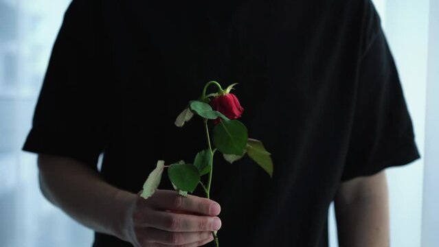 Funeral flowers in the hands of a man.
Loss of a loved one.
Funeral color.
Red rose in hands close-up