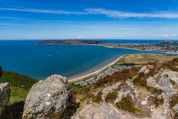 Obraz premium Heather in full bloom on Conwy Mountain North Wales