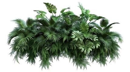 A collection of tropical leaves, including ferns and palm fronds, cascade down against a white backdrop