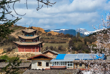 View at a Buddhist temple and the old village Shangri-la (Zhongdian) with snow capped mountains and cherry blossoms, in Yunnan, China, Asia