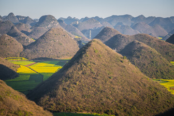 Beautiful sharp 90 degrees triangular shape rocks in line surrounded by vast canola fields