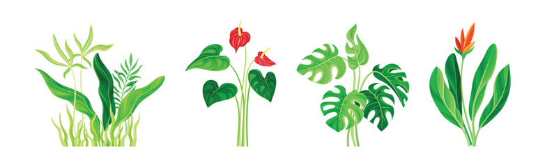 Lush Flora and Flower as Tropical Landscape Element Vector Set