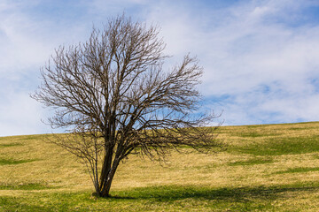 Mount Grappa in Italy