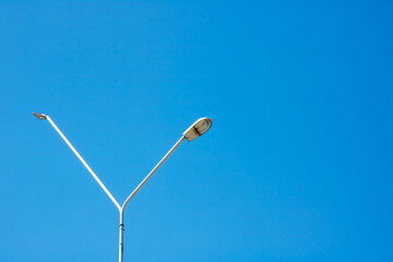 A street light with a blue sky in the background, surrounded by grass and plants