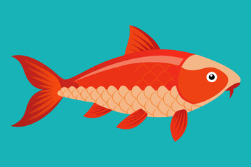  Beautiful fish carp vector art illustration