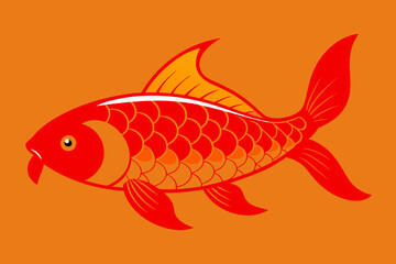  Beautiful fish carp vector art illustration