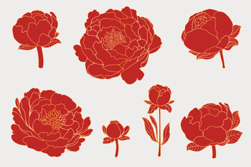 Hand drawn peony flowers, buds, steams and leaves collection perfect for coloring pages. 