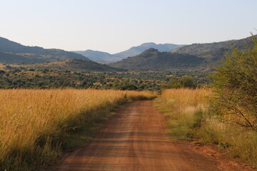 path in South Africa 