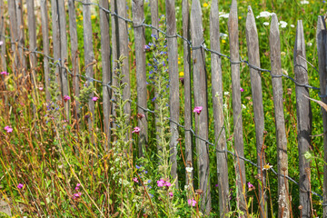 Alter Gartenzaun aus Holz mit Blumenwiese, Deutschland