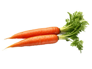 a pair of carrots with leaves