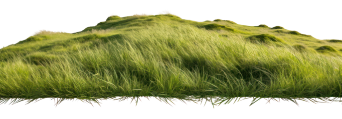 PNG Wild grass hills grassland landscape outdoors.